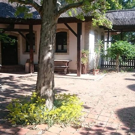 Hajoskert Vendeghaz Hotel Gönyů Exterior foto